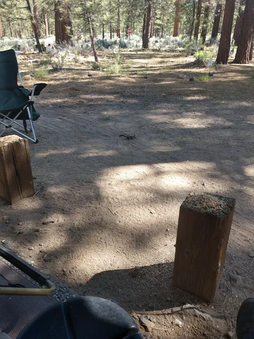 Skyline Group Campground 1