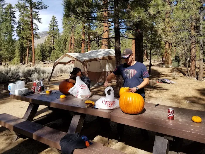 Skyline Group Campground 5