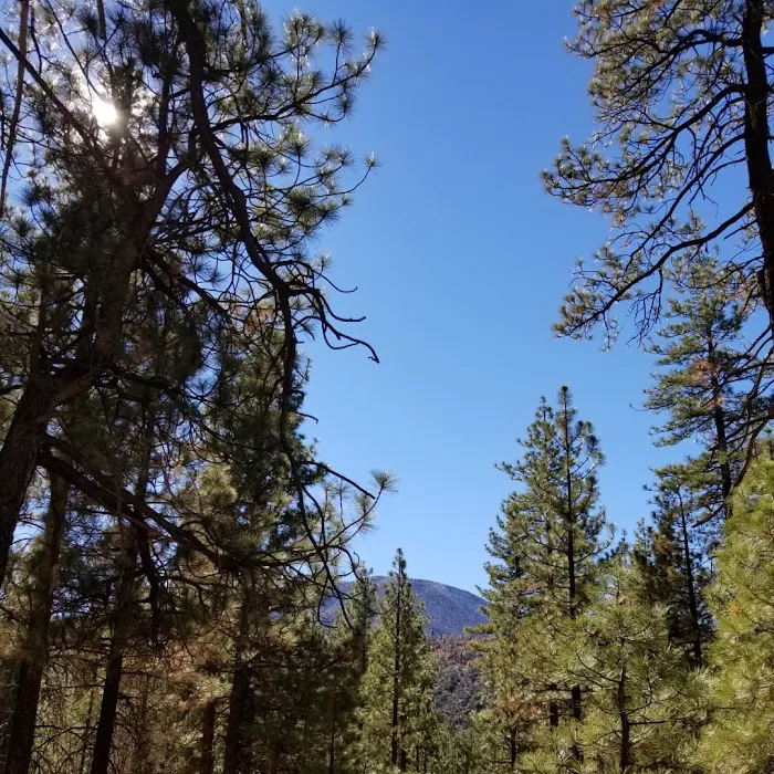 Skyline Group Campground 4