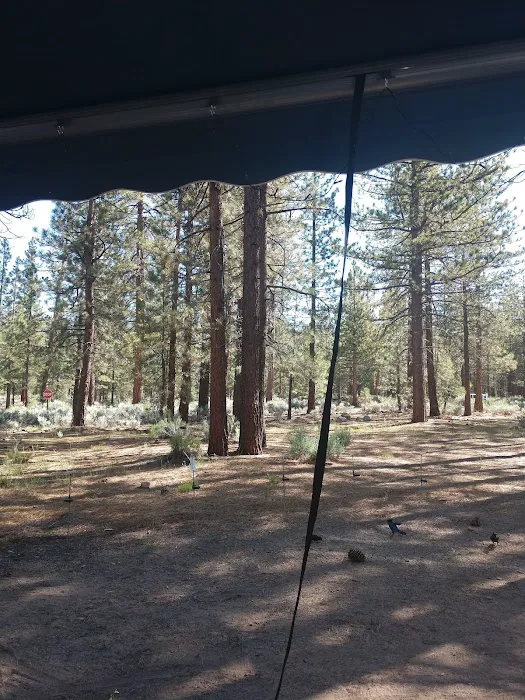 Skyline Group Campground 8
