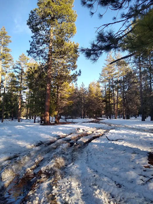 East Flats Campground 0