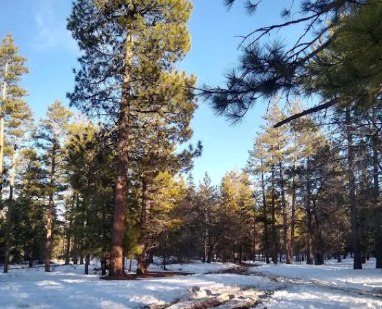 East Flats Campground