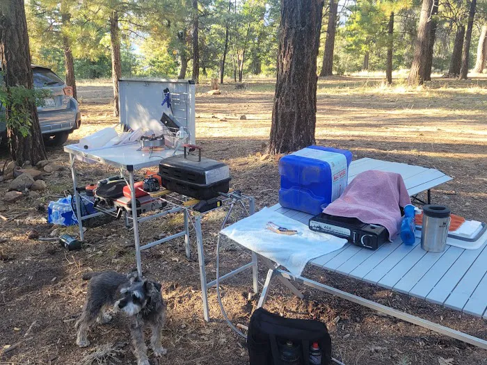 East Flats Campground 4