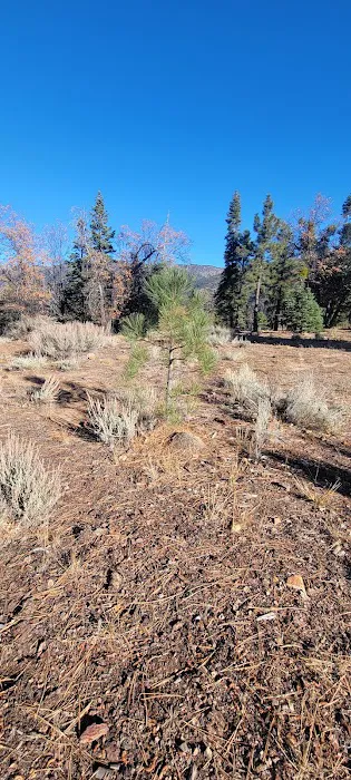 East Flats Campground 3