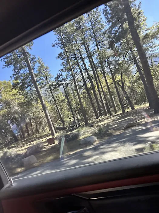 East Flats Campground 8