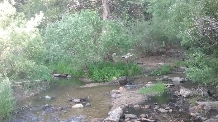 Santa Ana River - South Fork (recgovnpsdata) 3