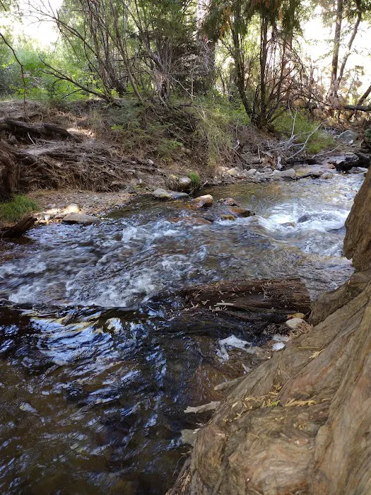 Santa Ana River - South Fork (recgovnpsdata) 6