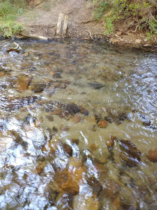 Santa Ana River - South Fork (recgovnpsdata) 7