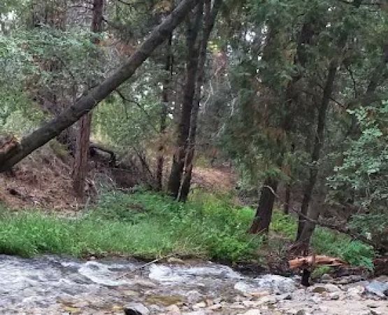 South Fork Trail Head Upper SART