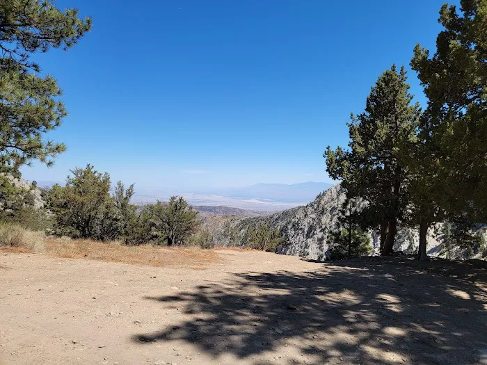 Coon Creek Cabin Group Campground 1