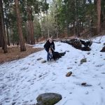 Coon Creek Cabin Group Campground