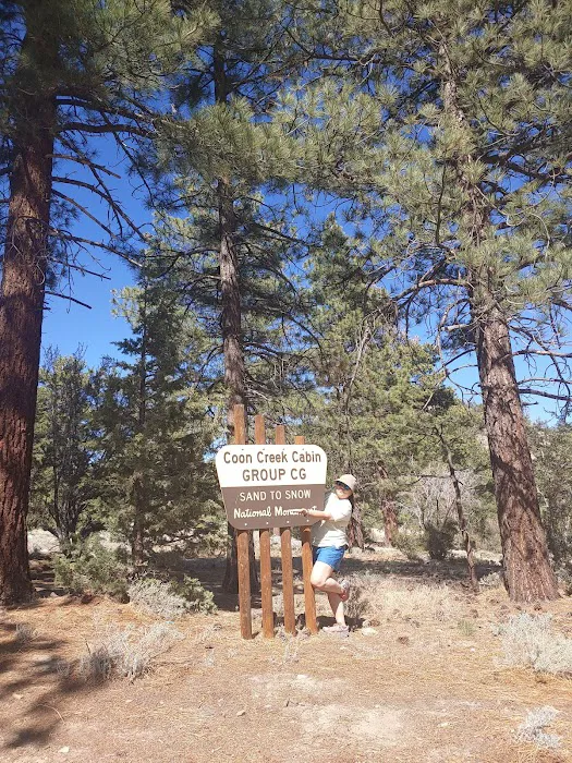 Coon Creek Cabin Group Campground 5