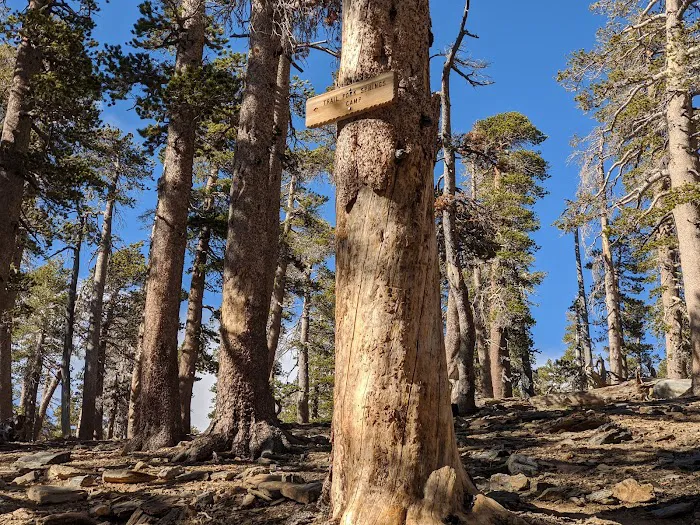 Trail Fork Springs Campground 2