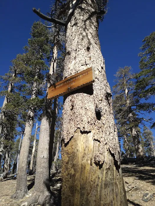 Trail Fork Springs Campground 0
