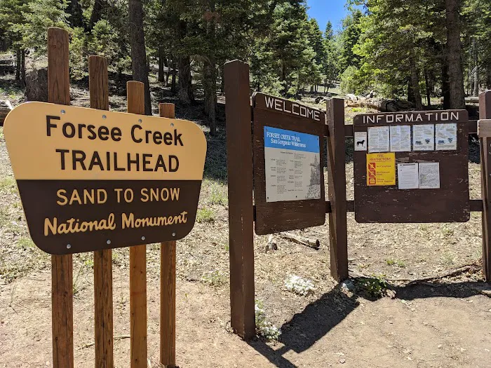 Trail Fork Springs Campground 6