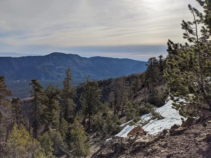 Trail Fork Springs Campground 8