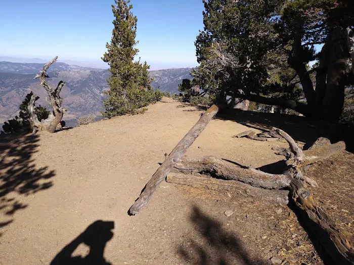 Trail Fork Springs Campground 5
