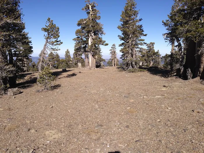 Anderson Flat Campground 4