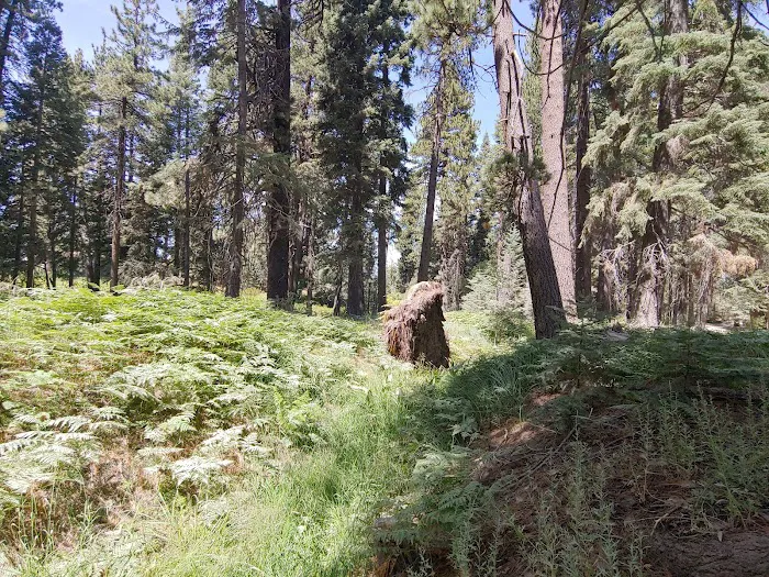 Bluff Mesa Group Camp 8
