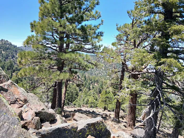 Stump Spring Campground 1