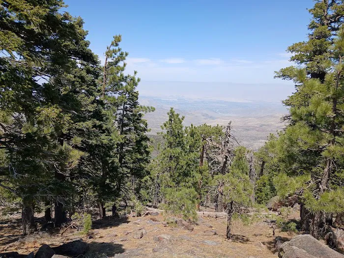 Stump Spring Campground 2