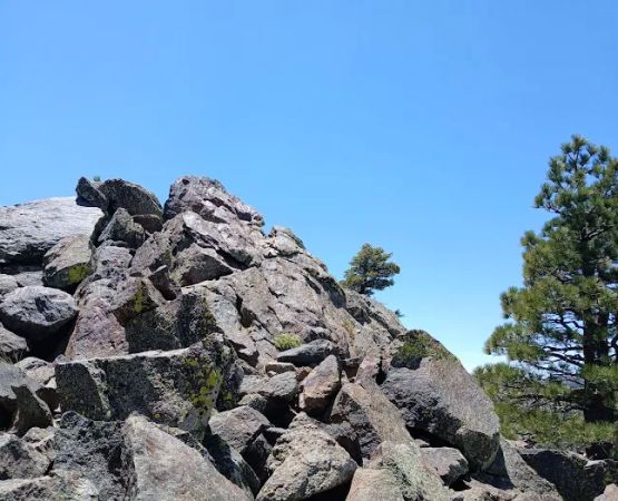 Stump Spring Campground