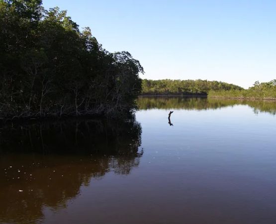 Watson River Chickee