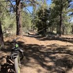 Green Spot Equestrian Group