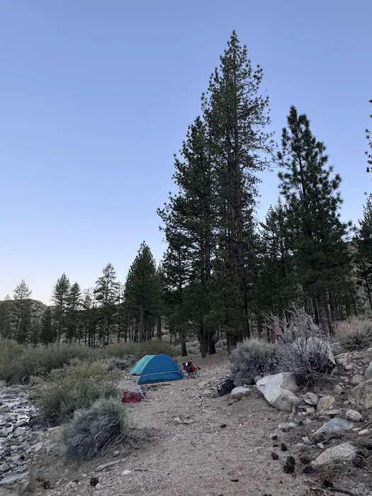 Little Bear Spring Trail Camp 1