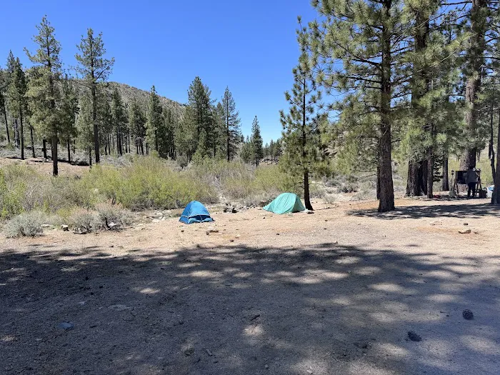Little Bear Spring Trail Camp 4