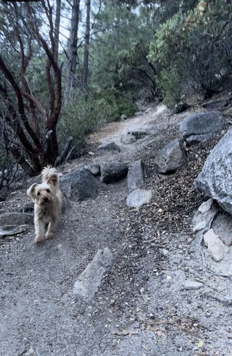 Bear Creek Trailhead 1