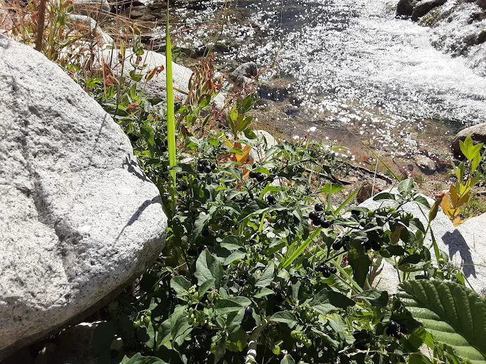 Bear Creek Trailhead 9