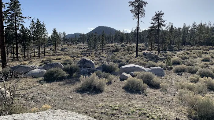 Yellow Post Campsite #7 0