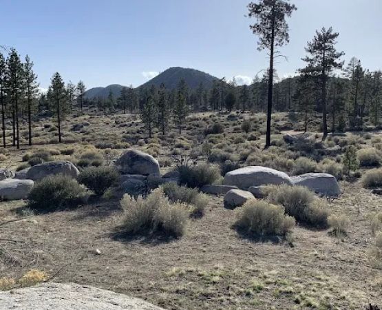 Yellow Post Campsite #7