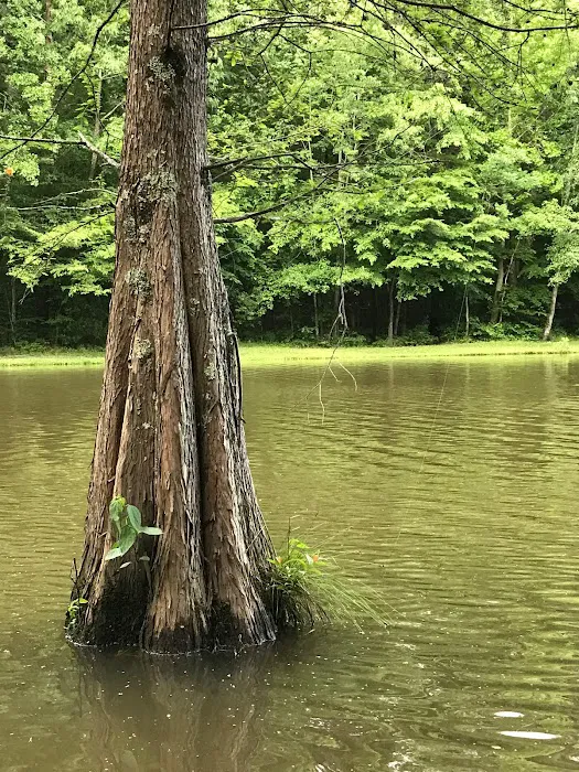 Dan Nicholas Park Campground 8
