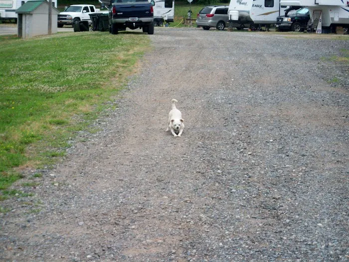 Golden Pond Campground 4
