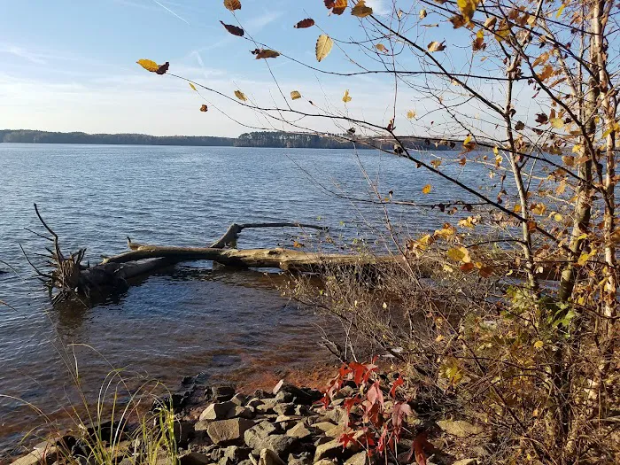 Raven Point 8