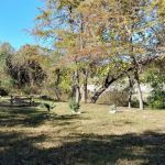 Boulderdash Cabin & RV Park