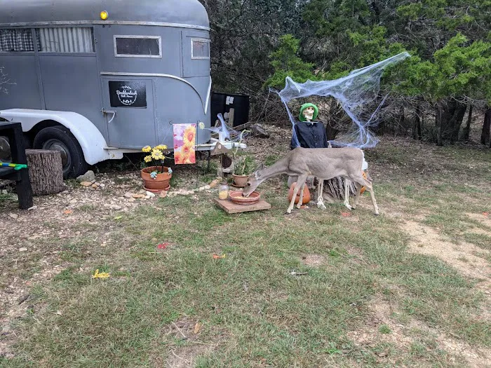Boulderdash Cabin & RV Park 4