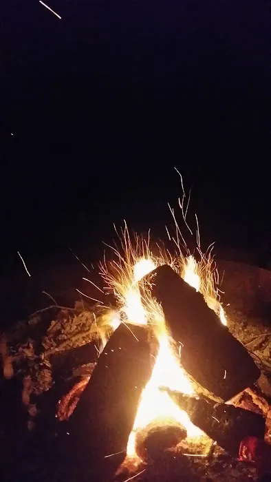 Grizzly Pines - Gay Campground 5