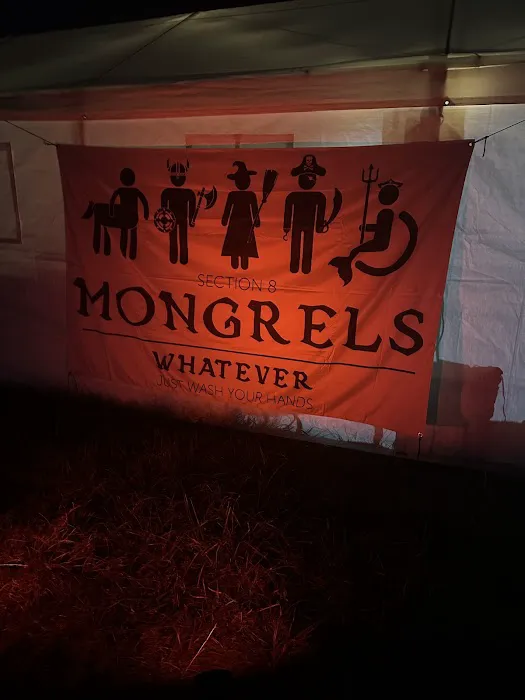 Section 8 Mongrels 1