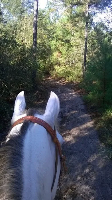 5D Ranch 0
