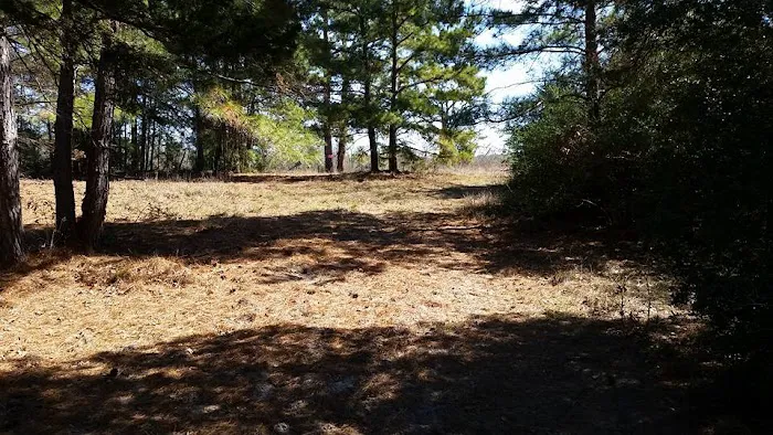 5D Ranch 2