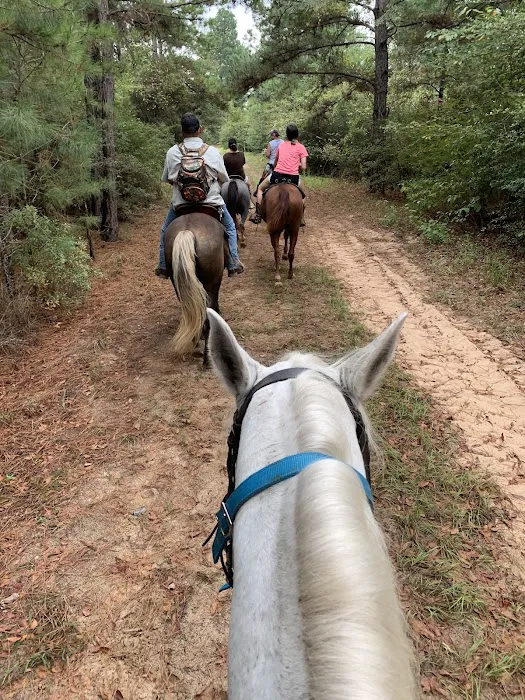 5D Ranch 5