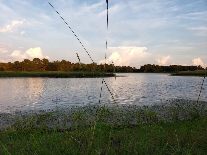 5D Ranch 8