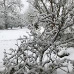 Briers Ranch Primitive Camping