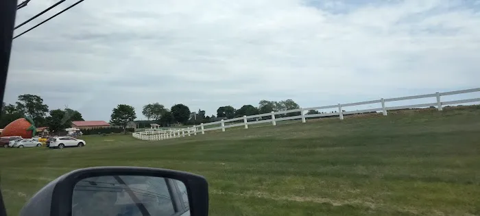 Village of Greenport Mccann 4