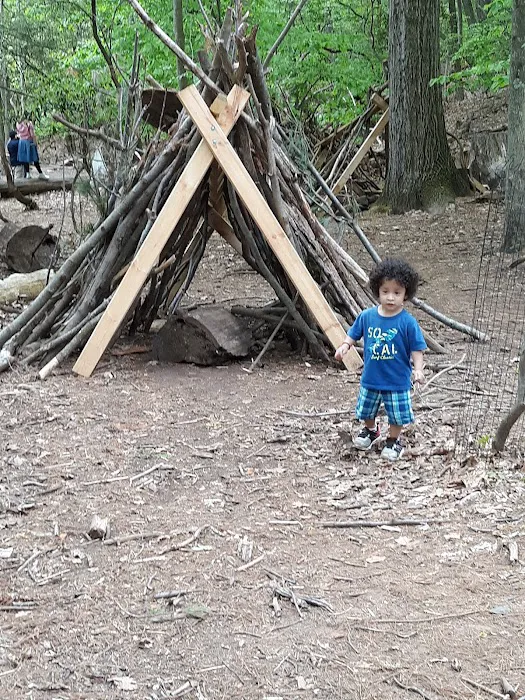 Common Ground Summer Camp 2