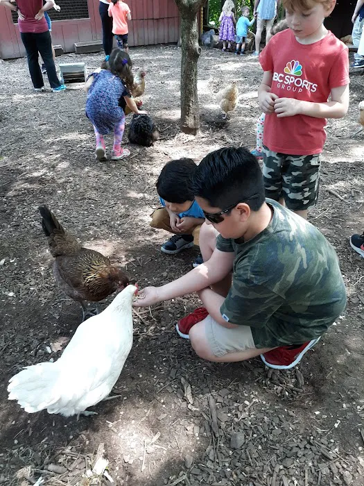 Common Ground Summer Camp 7
