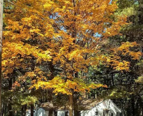 Advent Christian Campground